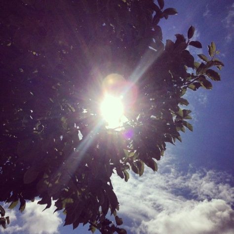 Cardiff, July 2014 by Alex Feeney