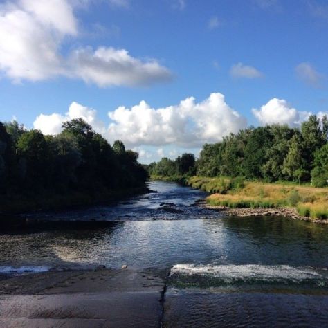 Cardiff, July 2014 by Alex Feeney