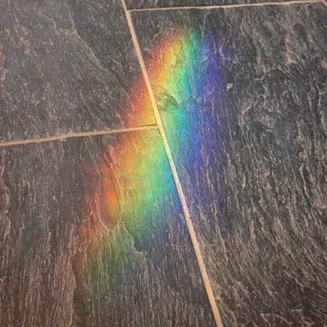 Cardiff, July 2014 by Alex Feeney