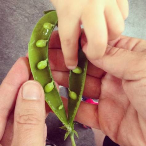 Cardiff, July 2014 by Alex Feeney