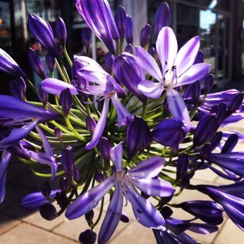 Cardiff, July 2014 by Alex Feeney