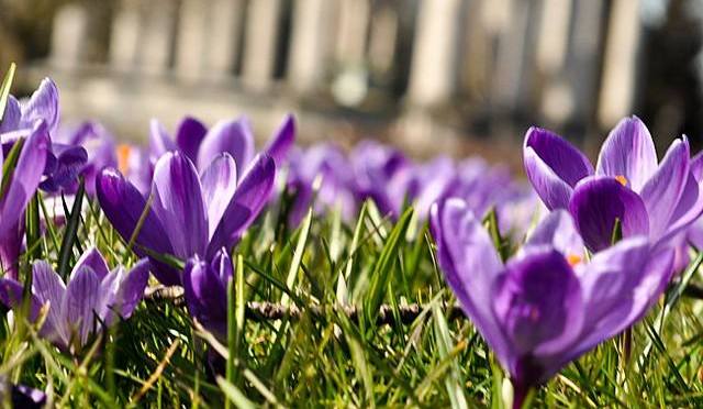 Cardiff: general election check-in