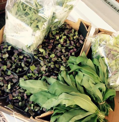 11130190_886040288120621_9179980642982368208_n