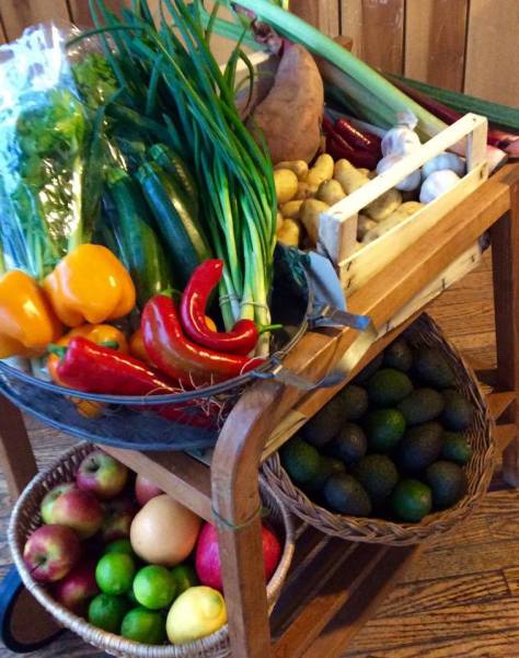 11427030_916355678422415_1095231080670034278_n