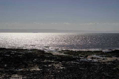 elvis festival 2015 lorna cabble