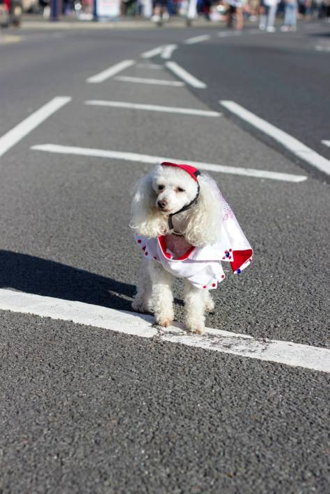 elvis festival 2015 lorna cabble