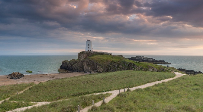 Happy St Dwynwen’s Day! Dydd Santes Dwynwen hapus i chi gyd