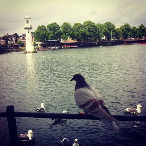 1609930_623974591043116_7926305547609803874_n