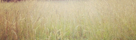 Instagram photo by Rhian Richards