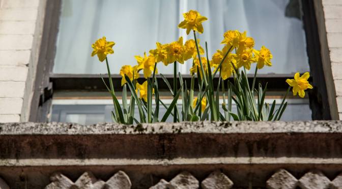 The first signs of spring!