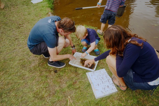 Green Man 2018 #GreenMan18