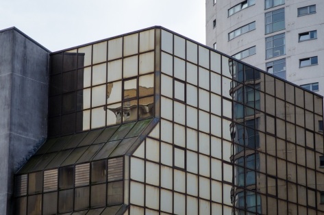 Adam_Chard_Cardiff_January_2016_ - 32