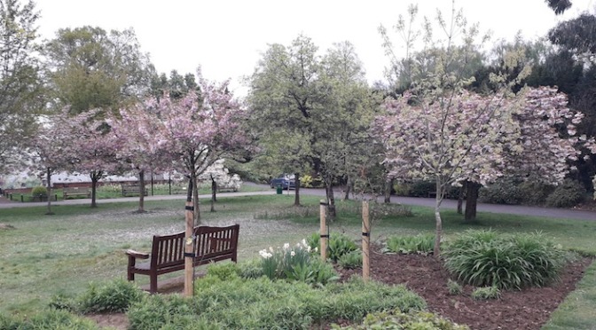 Letters from Cardiff in lockdown: Anonymous #5