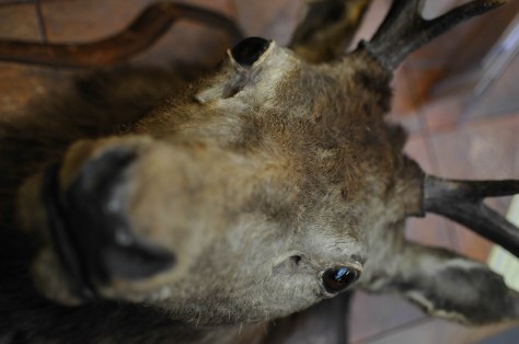 ben_k_fleamarket-1-23