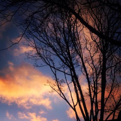 cardiff_elliephilpotts_4