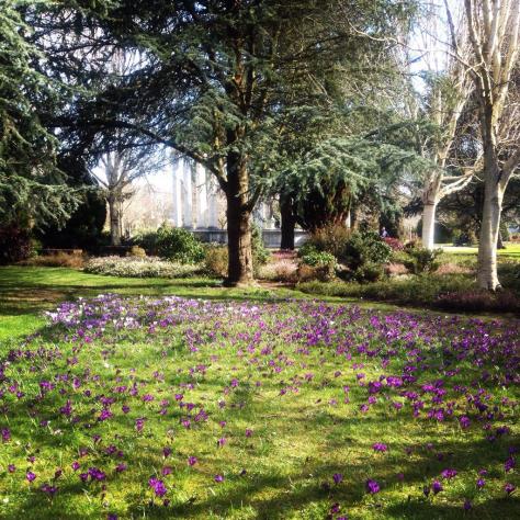 cardiff_elliephilpotts_5