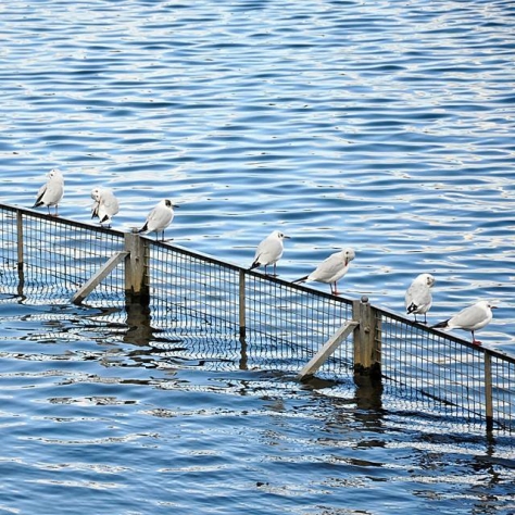 doug_nicholls_instagram - 08