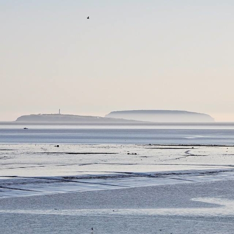 doug_nicholls_instagram - 10