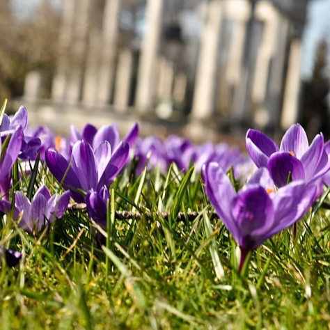 doug_nicholls_instagram - 25