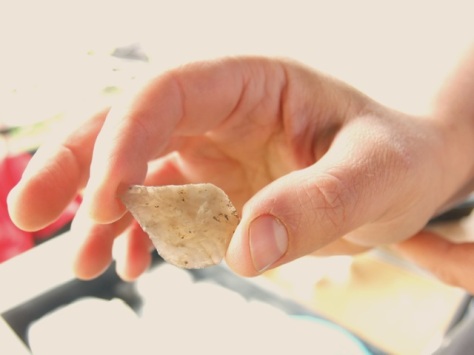 ely by katie hamer 7