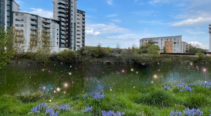 Letters from Cardiff in lockdown: ANONYMOUS #7