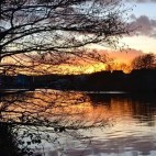 February_instagram_photos_helia_phoenix - 02