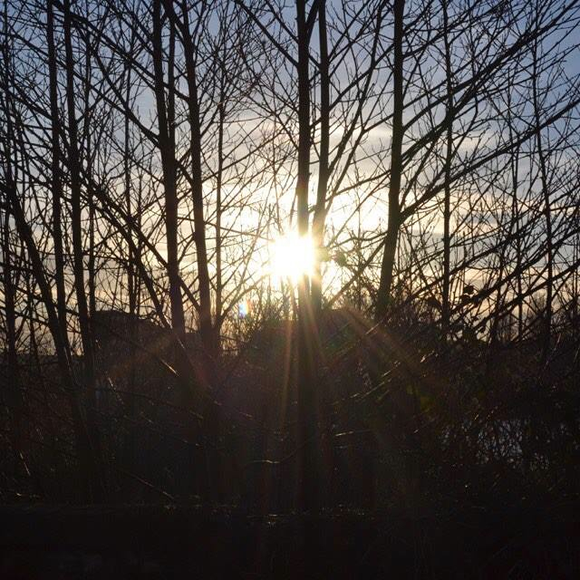 February_instagram_photos_helia_phoenix - 22