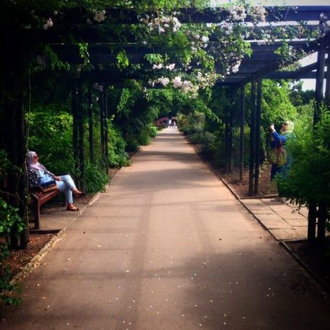 june by tom beardshaw8