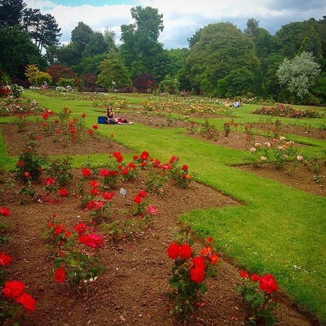 june by tom beardshaw