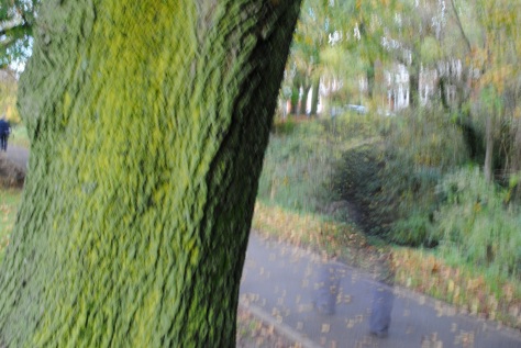 katrina-kirkwood_web