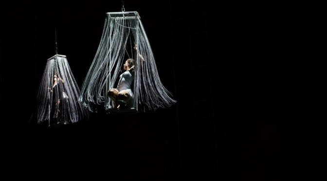 Thirteen years of NoFitState Circus – in photos