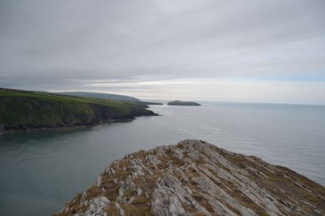 mwnt_2016-19