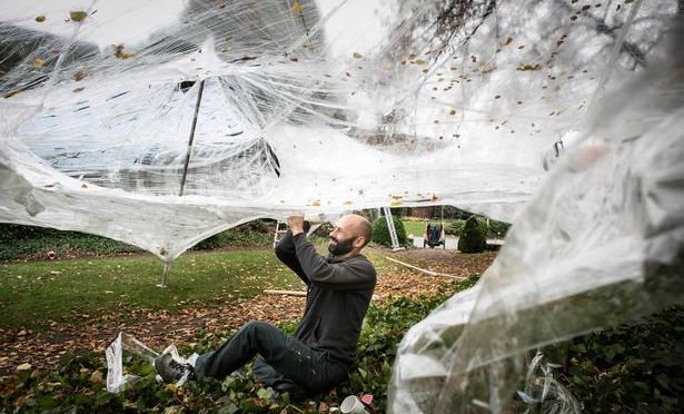 Giant spider webs due to hit Bute Park in August 2015 …