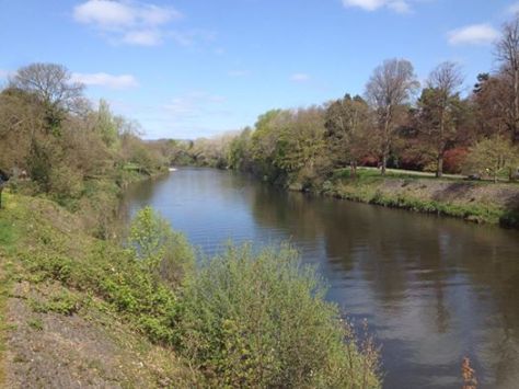 river taff