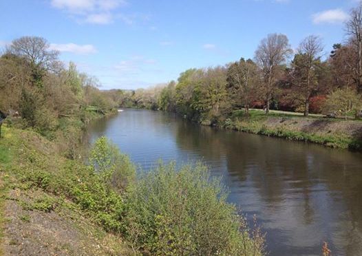100 days in Cardiff – the River Taff at Bute Park