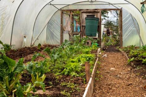 riverside_allotment_project