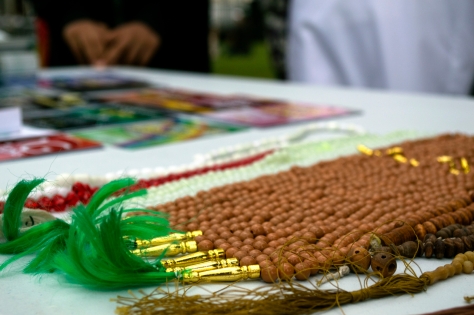 Riverside_Carnival_2014_Jess_Ventura_ - 06