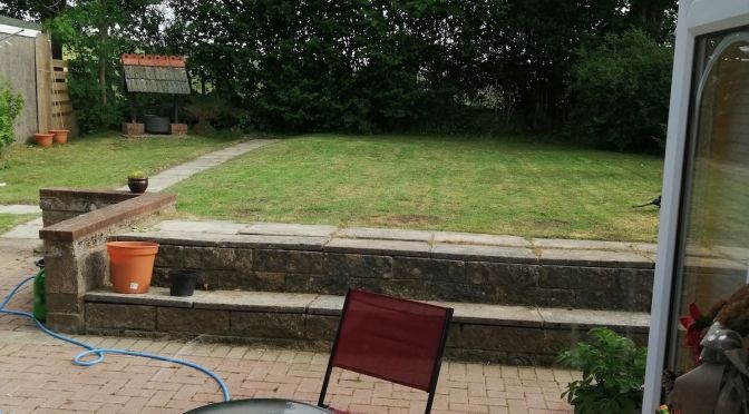 Letters from Cardiff in lockdown: Sharon Brace