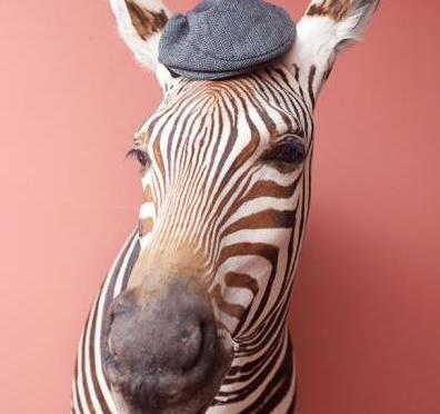 Behind the camera: Simon Ayre