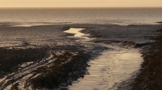Splott Beach: my edgeland
