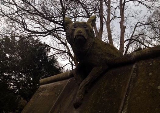 100 days in Cardiff – The Stone Fox