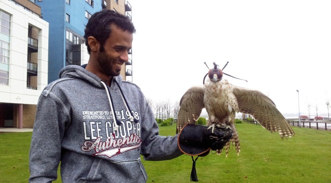 Street scene: wing span