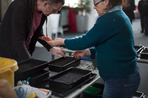 Ty Gwydr - The Greenhouse - 'Sow-a-thon'