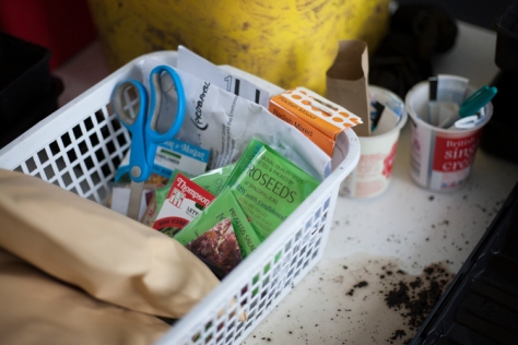 Ty Gwydr - The Greenhouse - 'Sow-a-thon'