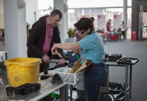 Ty Gwydr - The Greenhouse - 'Sow-a-thon'