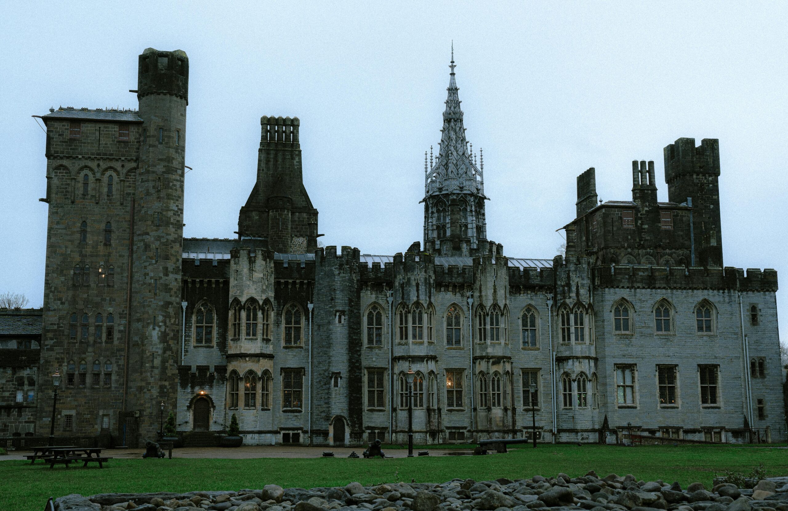 pexels-bobelnuk-33986342